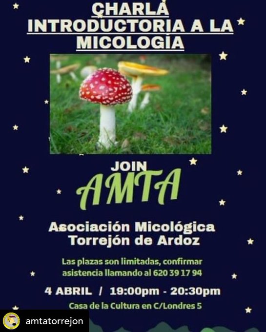 Charla introductoria a la micología