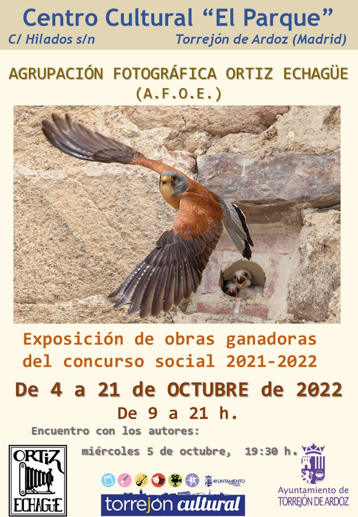 Exposición de obras ganadoras del concurso social de AFOE