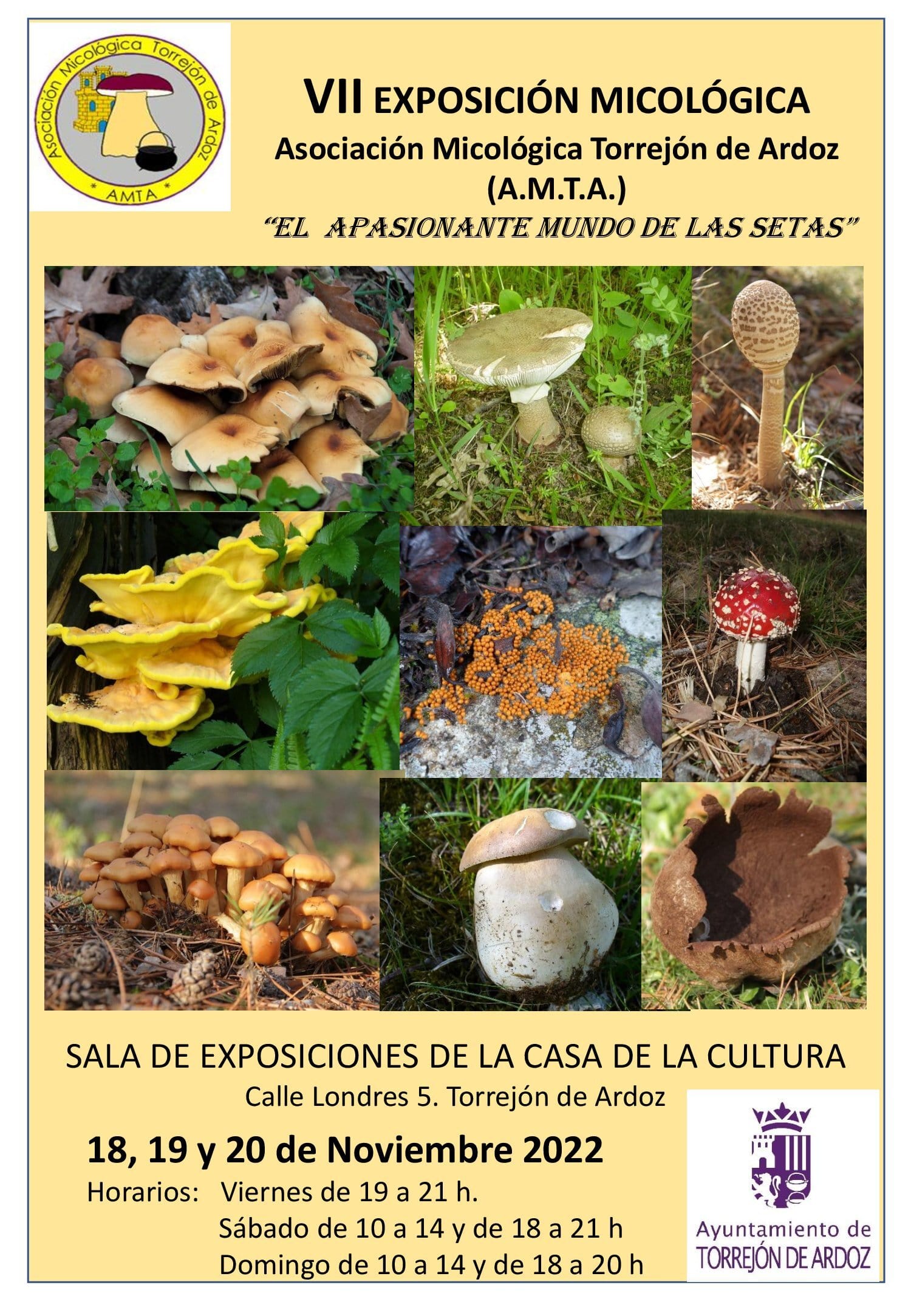 VII Exposición micológica