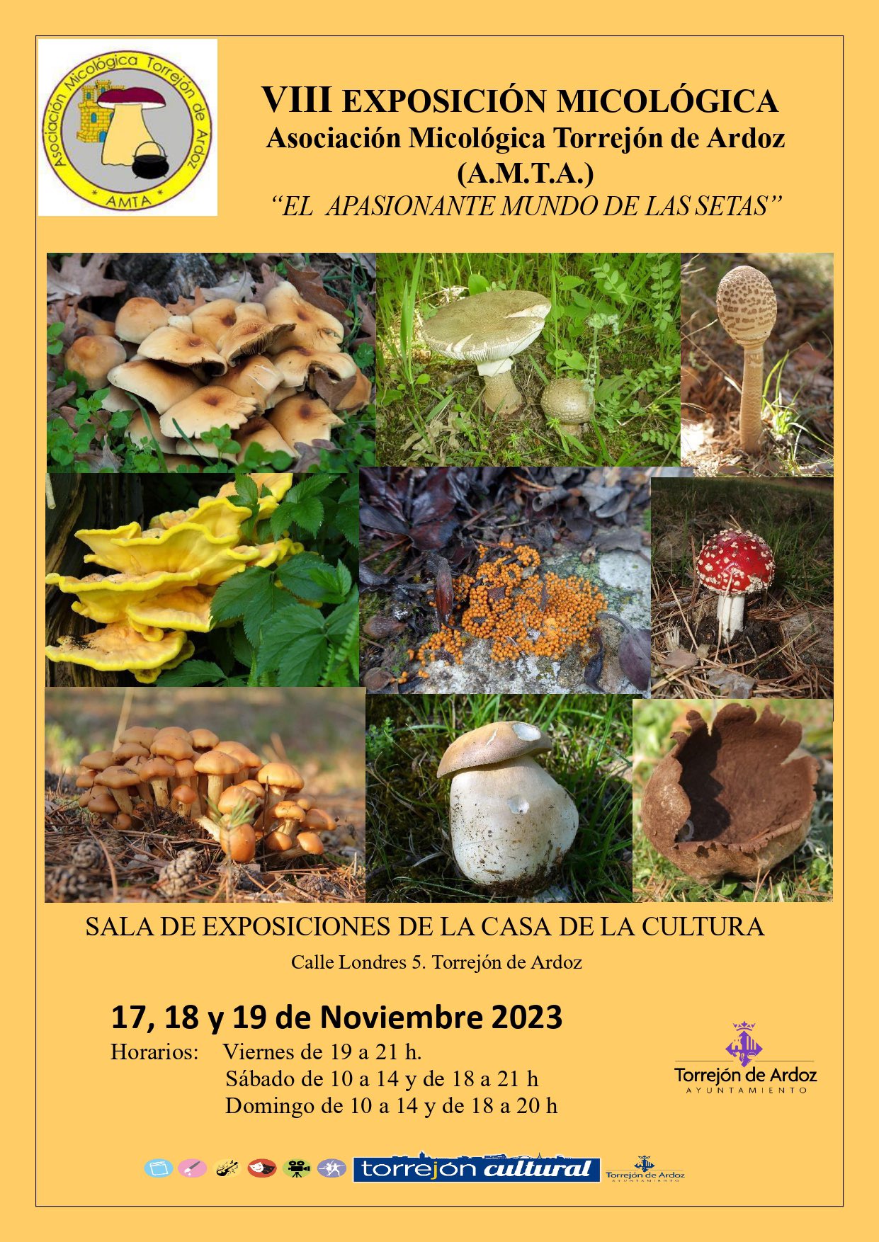 Exposición micológica