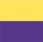 Bandera de Torrejón de Ardoz