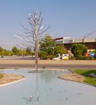 escultura el fresno