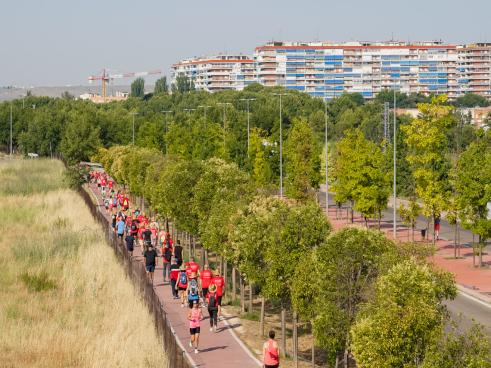 El Camino de Cervantes clausura su IX edición con una etapa por Torrejón de Ardoz, en la que sus participantes hicieron frente al calor durante sus 9 kilómetros de recorrido