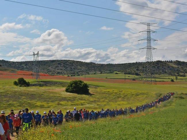 Camino de Cervantes