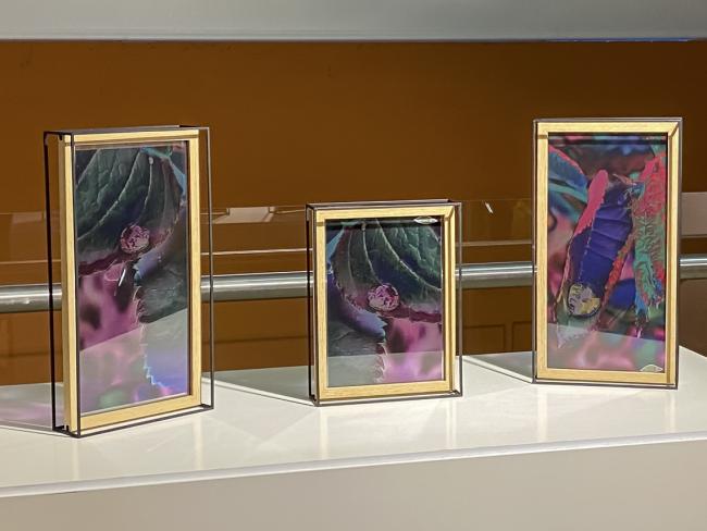 Exposiciones