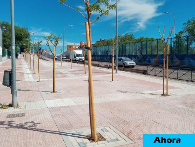 Calle Circunvalación Puente de los Americanos - Ahora