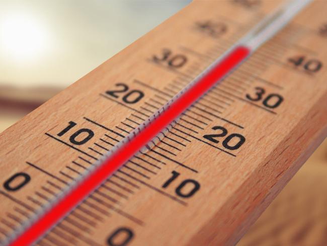 Ante las altas temperaturas que se esperan para estos días, el Ayuntamiento de Torrejón de Ardoz ofrece una serie de consejos y recomendaciones para prevenir sus efectos negativos